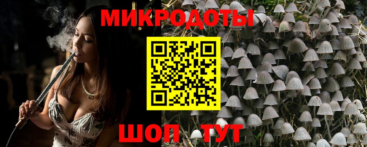 Галлюциногенные грибы MAGIC MUSHROOMS Богданович