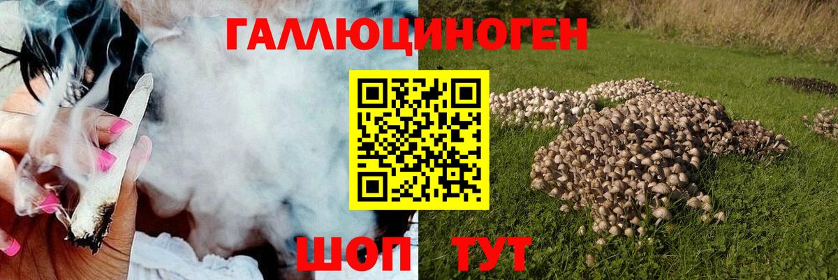 Галлюциногенные грибы прущие грибы  Вход с VPN  Богданович 